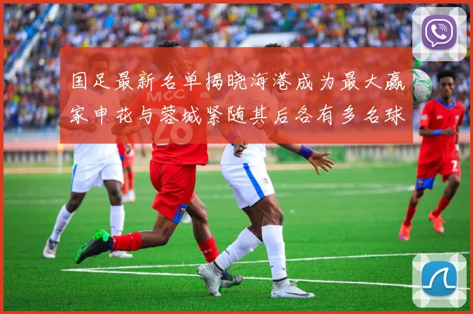 国足最新名单揭晓海港成为最大赢家申花与蓉城紧随其后各有多名球员入选